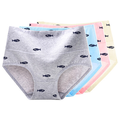 

Yummy light pink light blue light yellow - fish XXL code
