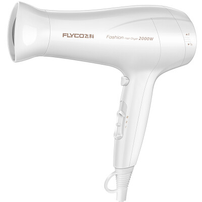 

FLYCO FH6232 hair dryer home high power 2000W