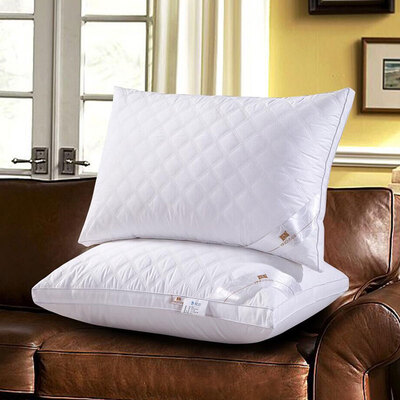 

Ин Xin текстильного хлопка подушка перспективы сетка плюшевого перо подушки можно стирать мягкие подушки а высокие упругие средства 48 * 74см