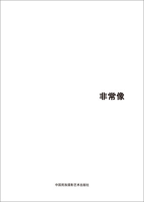

第五届中国济南国际摄影双年展学术成果：非常像