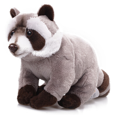 

National Geographic (NATIONALGEOGRAPHIC) North American series of animal dolls plush toy simulation model children's baby animal world ornaments raccoon 6 inch