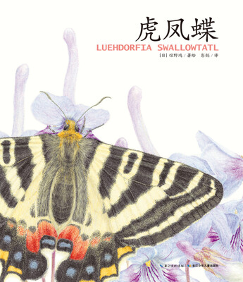 

馆野鸿科学绘本·虎凤蝶（精装）