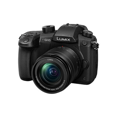 

Мацусита постоянного тока Panasonic-GH5LGK (Leica корпус объектив +) миниатюрный одиночный комплект (Фото 6K, 4:. 2: 2 10bit записи видео, 20300000 пикселей)