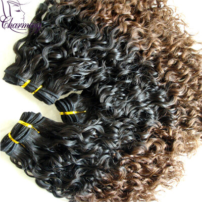 

Ombre Brazilian Virgin Hair 3Pcs/Lot Two Tone Ombre Human Hair Bundles Ombre Hair Extensions Virgin Kinky Curly Human Hair Weaves