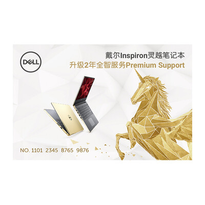 

Dell DELL Ling Yue notebook upgrade two years all intellectual services