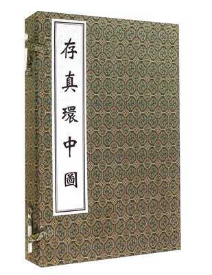 

存真环中图