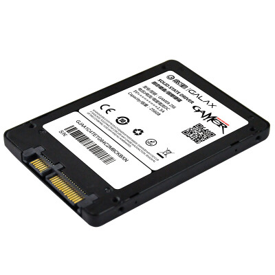 

Giant (Galaxy) GAMER серии 256GB SATA3 твердотельный жесткий диск