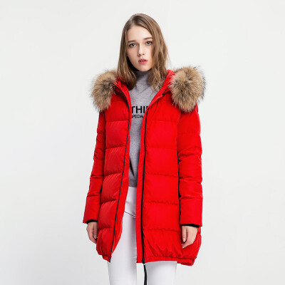 

Snow in the winter models down jacket female thick in the long raccoon fur collar warm jacket A1621YY172 big red 1218 XXL