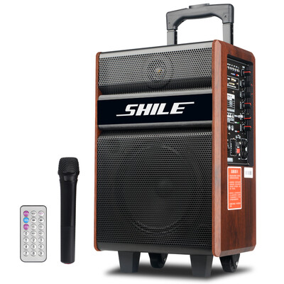 

Lion Dance (SHILE) корона 8-дюймовый квадратный танцевальный звук с Bluetooth-картой USB-трансляция посылает беспроводной микрофон портативный деревянный динамик