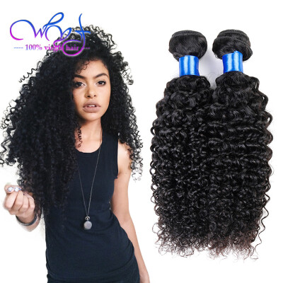 

Brazilian Virgin Hair 3 Bundles 7A Kinky Curly Virgin Hair WYF 2017 Hot Selling Brazilian Human Curly Hair Weft Free Shipping