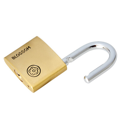 

Plum BLOSSOM copper padlock automatic door lock waterproof rust-proof office dormitory copper lock warehouse large iron door drawer lock cabinet door lock BC9040