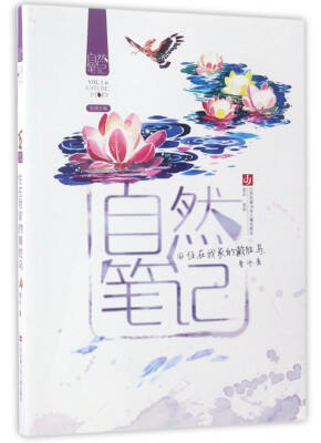 

自然笔记（Vol.1.6）：住在我家的戴胜鸟