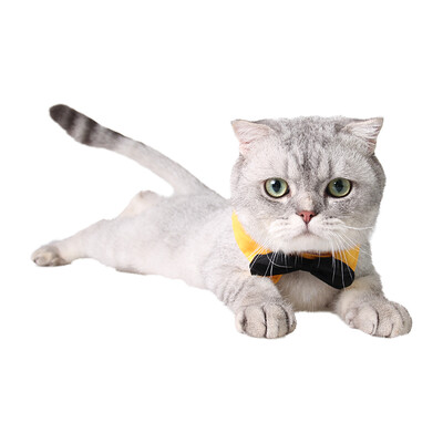 

Giza Aberdeen pet bow tie gentleman bowed dog dog cat handsome holiday bow black and white L