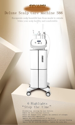 

2017 new arrival multiple function deluxe scalp care machine S66 intelligent hair rejuvenation machine