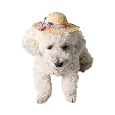 

Giza Aberdeen hat hat pastoral straw hat spring and summer autumn out of the shade dog hat cat jewelry rejection do not stand straw hat