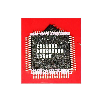 

CS11003