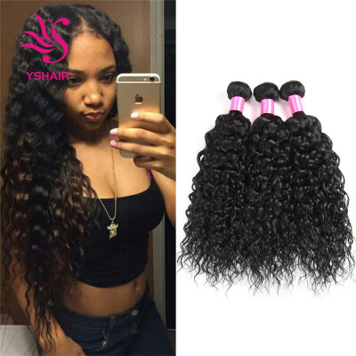 

7A Indian Water Wave Virgin Hair 3 Bundles Indian Curly Weave Human Hair Wet&Wavy Virgin Indian Hair Weave Bundles