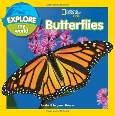 

Explore My World Butterflies