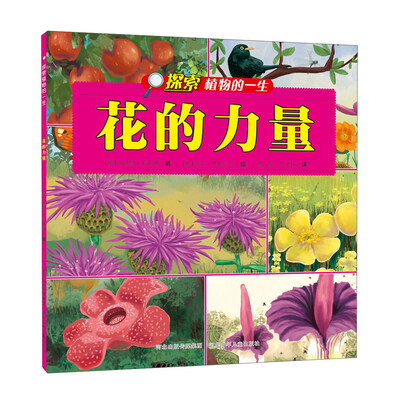 

探索植物的一生：花的力量