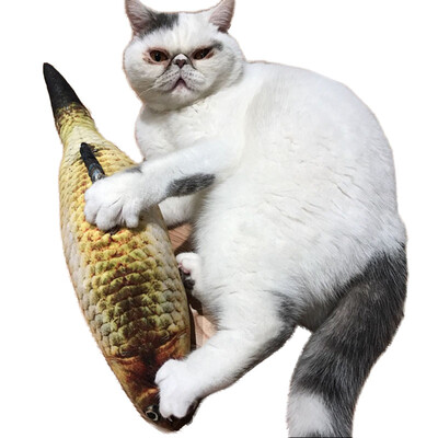 

Моделирование рыбной игрушки Cat Chew Toys Cat Teaser Fish Cushions Catnip Cat Supplies