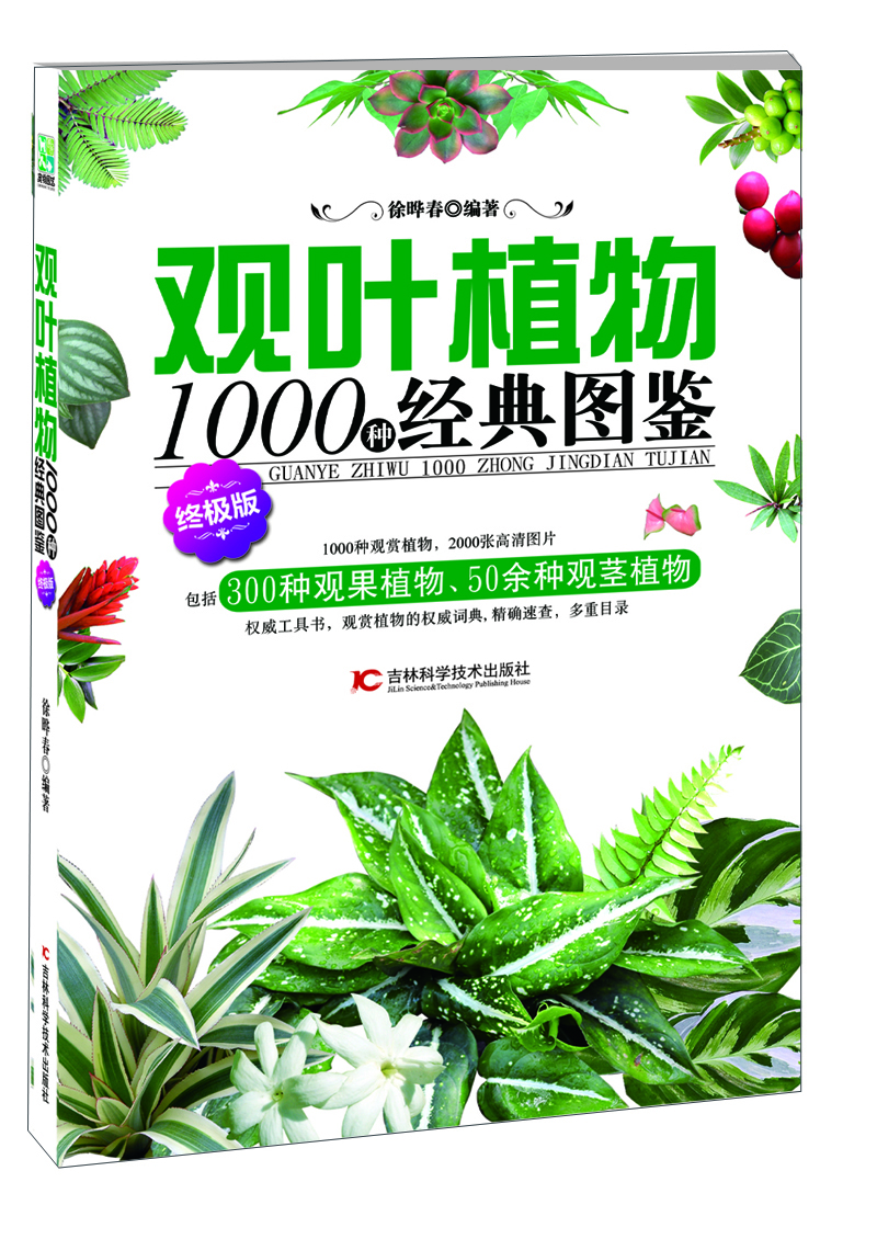 

观叶植物1000种经典图鉴（终极版）