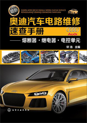 

最新奥迪汽车电路维修速查手册：熔断器·继电器·电控单元