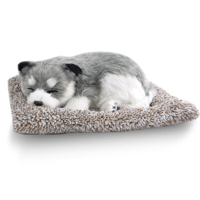 

Plush toys simulation dog & cat Vehicle Decoration Baby Sleeping Appease Doll Kids Birthday Gifts