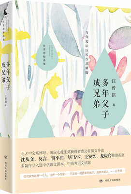

汪曾祺精选集多年父子成兄弟