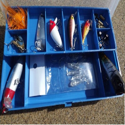 

Special Mino chubby soft bug Bo Ba Lei frog lead hook road bait set Road sub-box bait