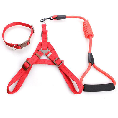 

Junxiao dog chain dog rope small dog middle dog traction rope walk dog rope dog dog traction belt walk dog traction rope reflective traction rope black L number