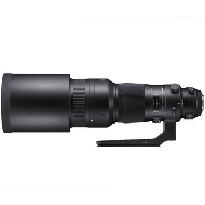 

SIGMA 500mm F4 DG OS HSM | Спортивная полнокадровая супер-телеобъективная съемка с объективом Lotus Birds (Canon SLR Mount)
