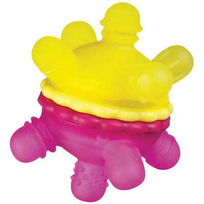 

Munchkin baby molar stick tooth gel pacifier Mackenzie baby bite chew random color