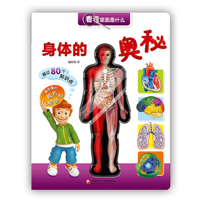 

身体的奥秘-看看里面是什么