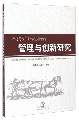 

农村劳动力转移过程中的管理与创新研究