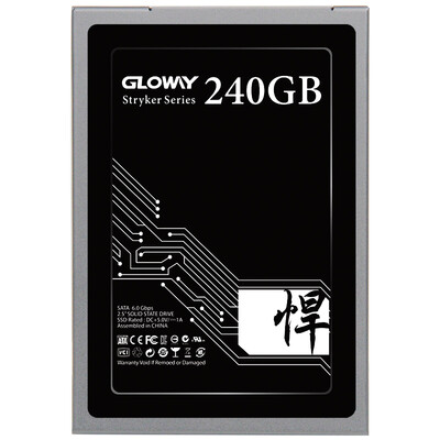 

Guangwei Gloway Titans 240G solid state hard drive