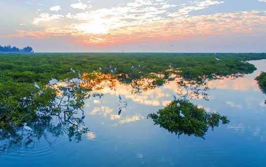 夕阳红动北海观江海风景这边独好