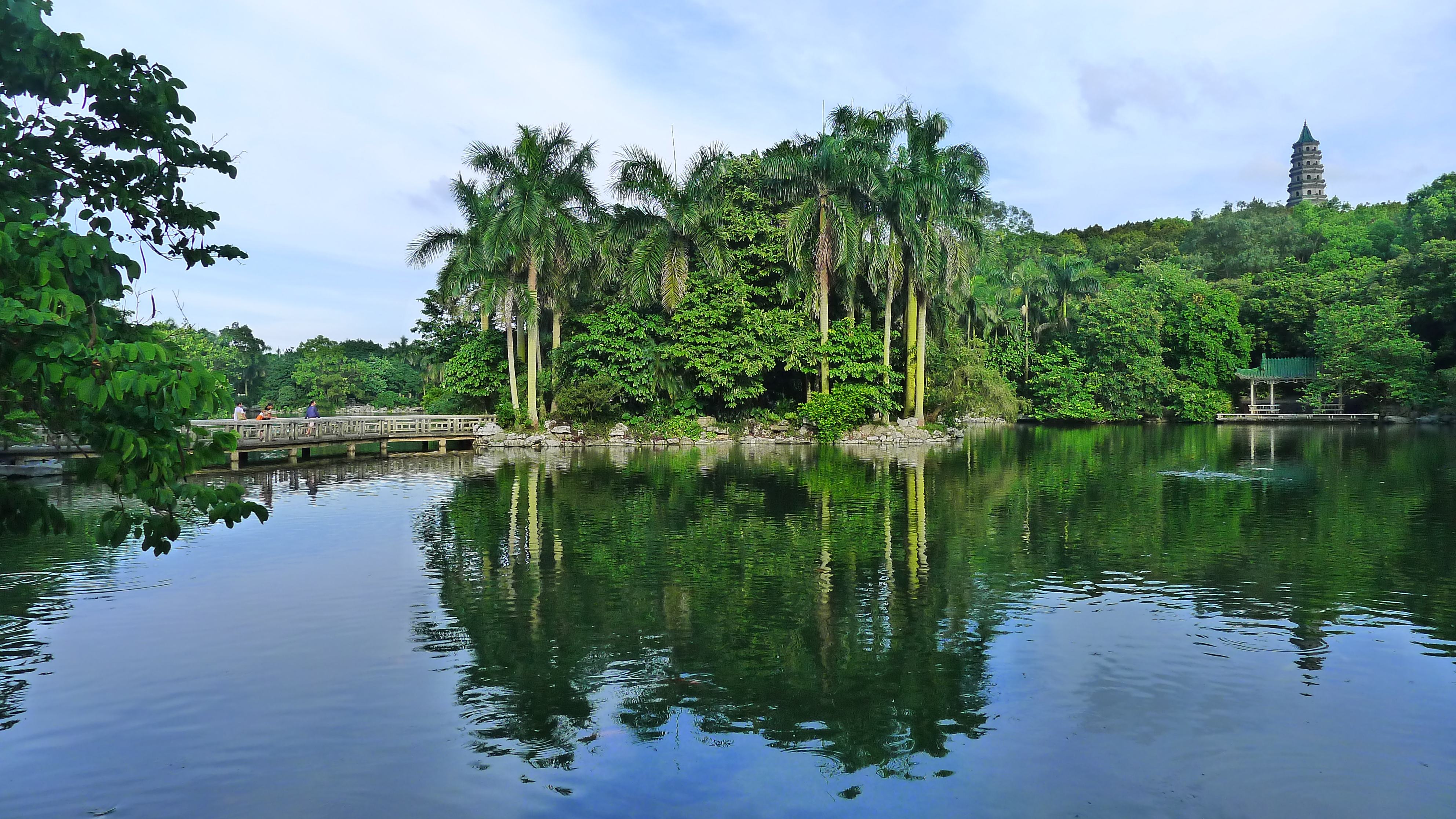 凤岭北分院(建设中) 公园:青秀山风景区,李宁体育园,南宁市体育公园