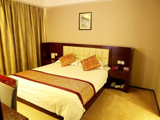 豪华单人间 30㎡   大床1.8米 京豆 白条 184 起