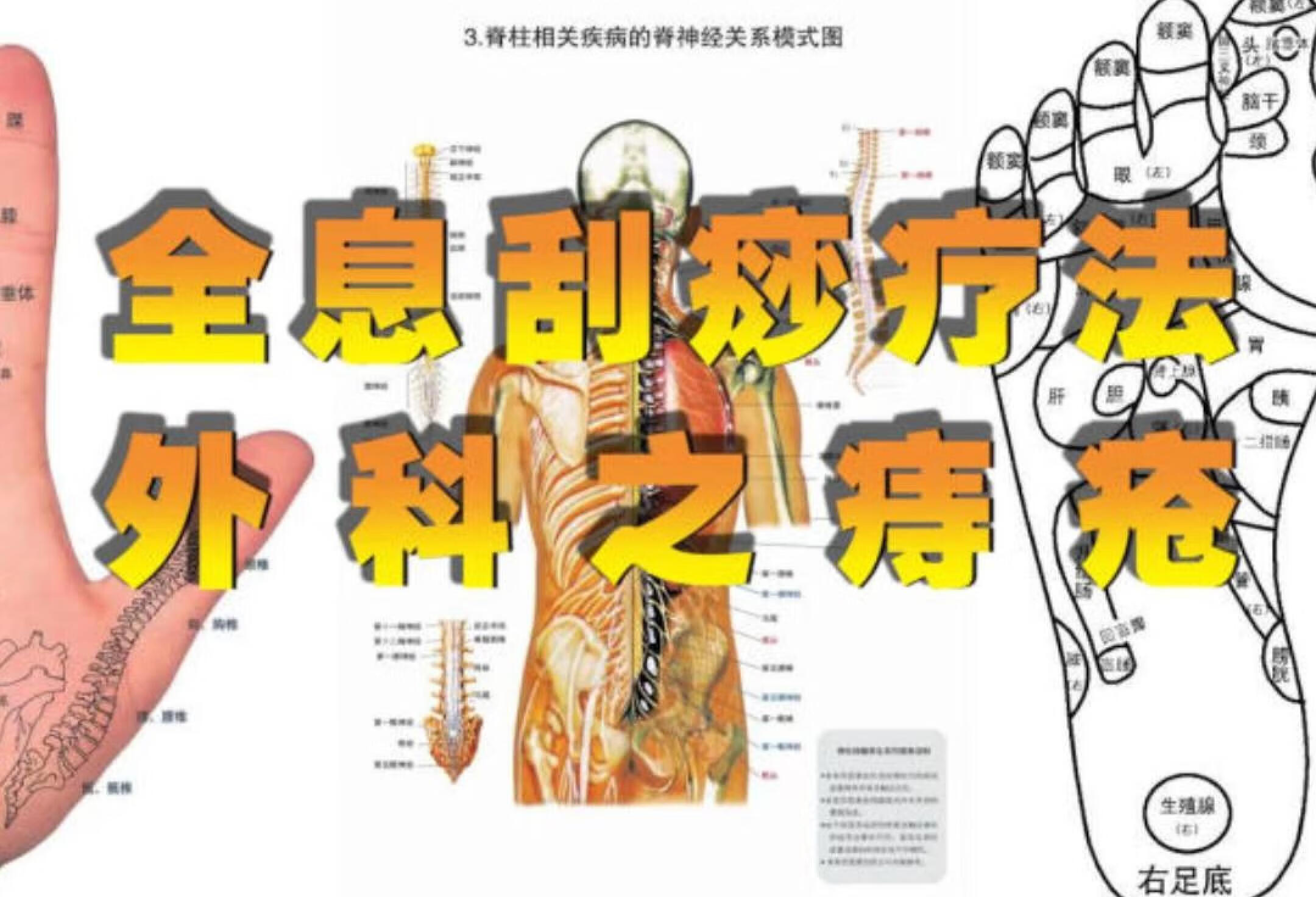 上海中医药大学附属岳阳中西医结合医院黄牛挂号联系方式的简单介绍