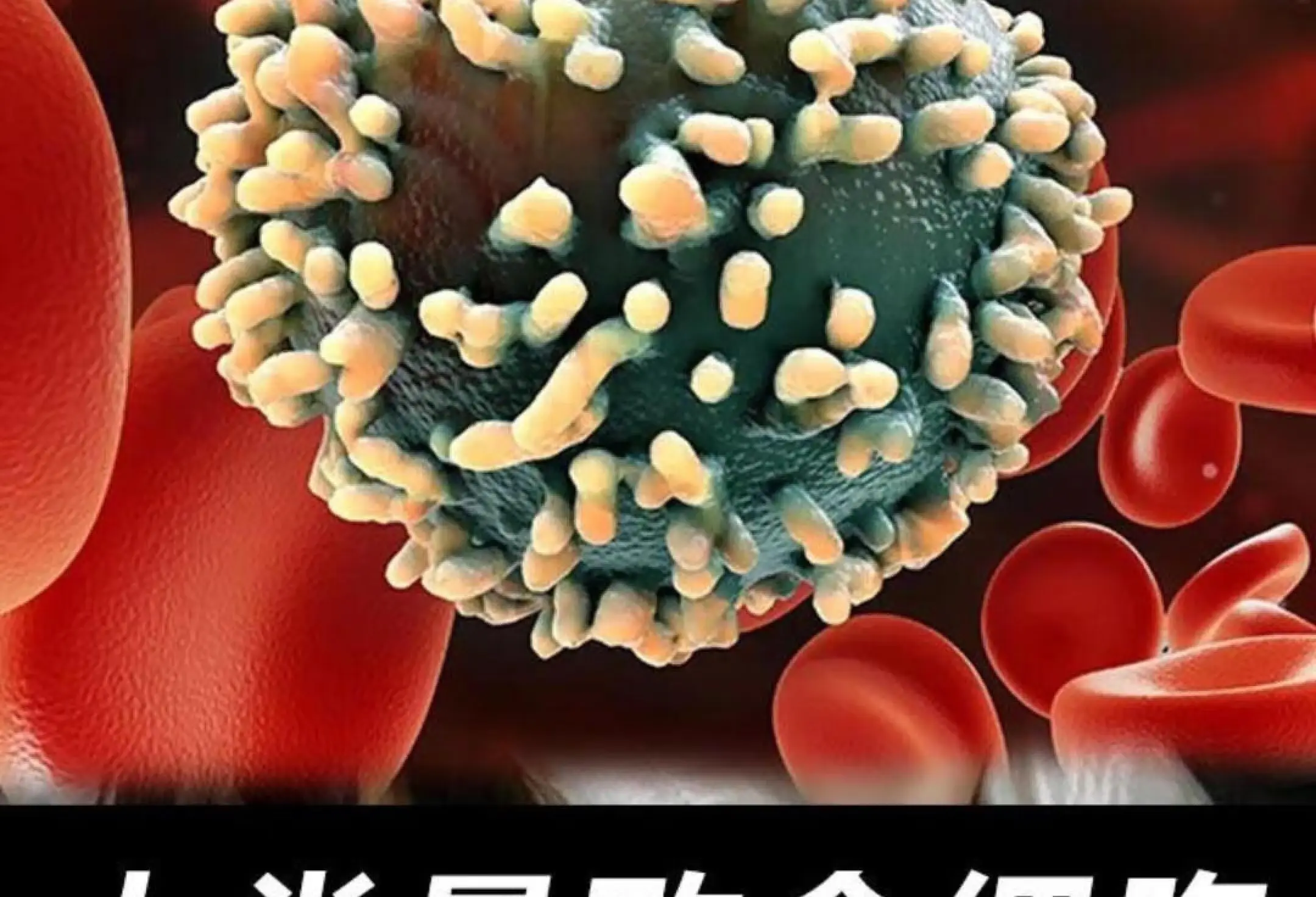 中日友好医院、全程透明收费黄牛挂号的简单介绍