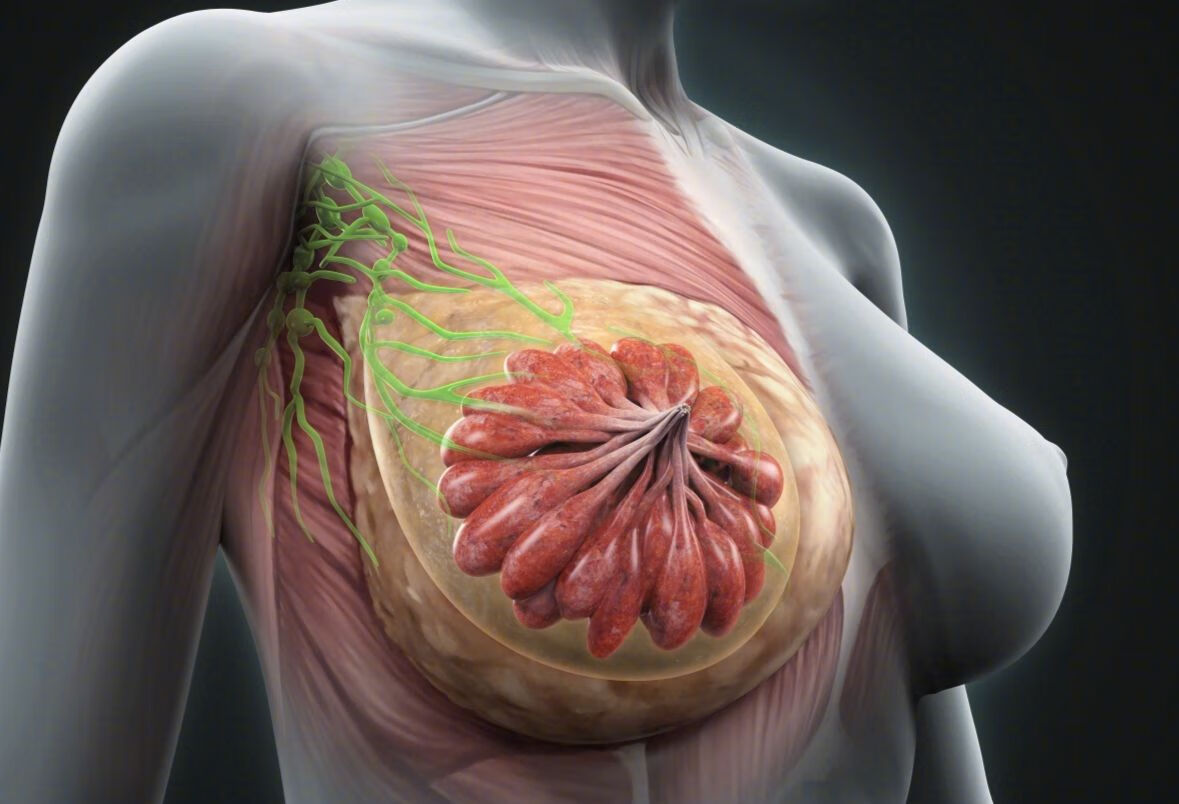 友谊医院代问诊检查加急-友谊医院代问诊检查加急要多久 