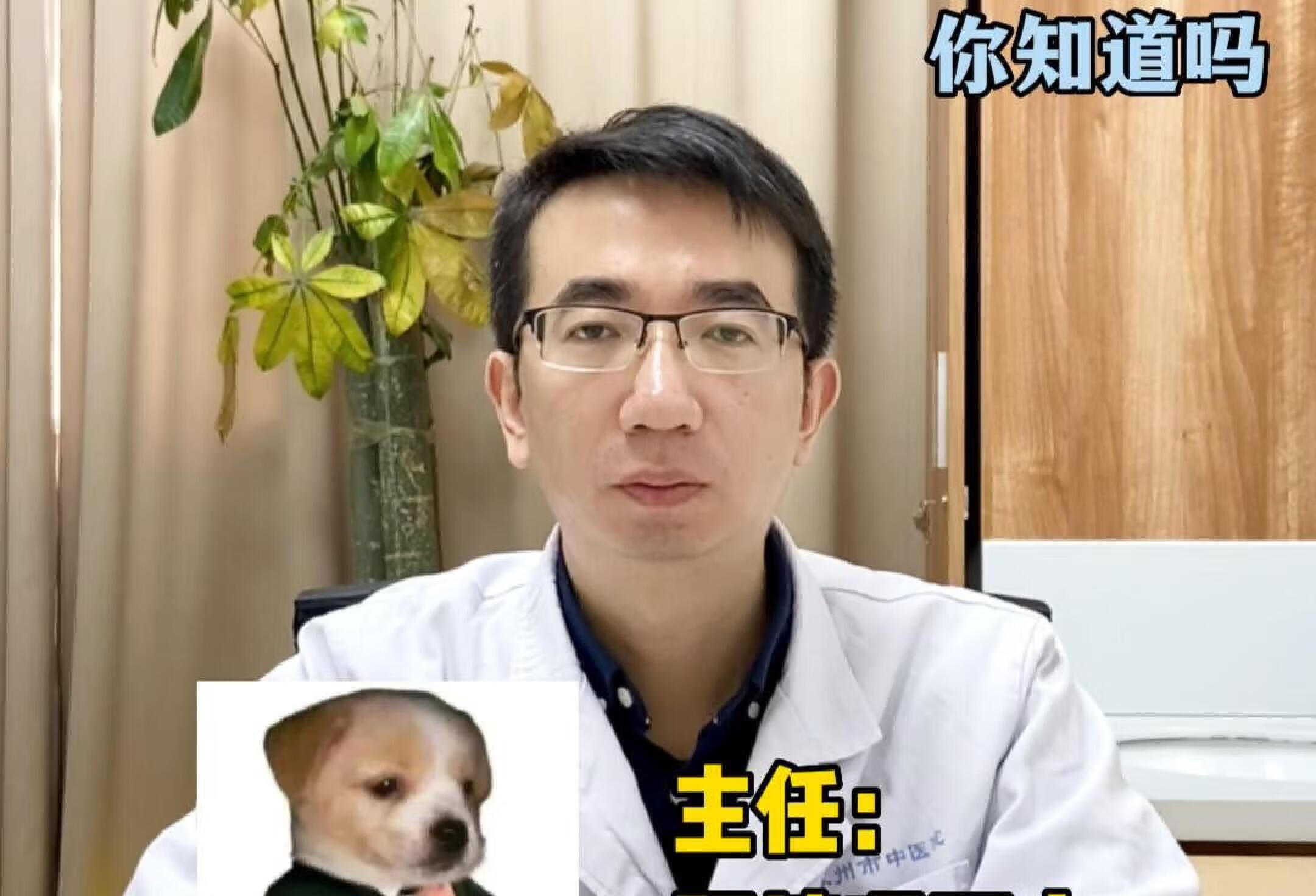 包含上海中醫藥大學附屬岳陽中西醫結合醫院黃牛掛號方便快捷的詞條