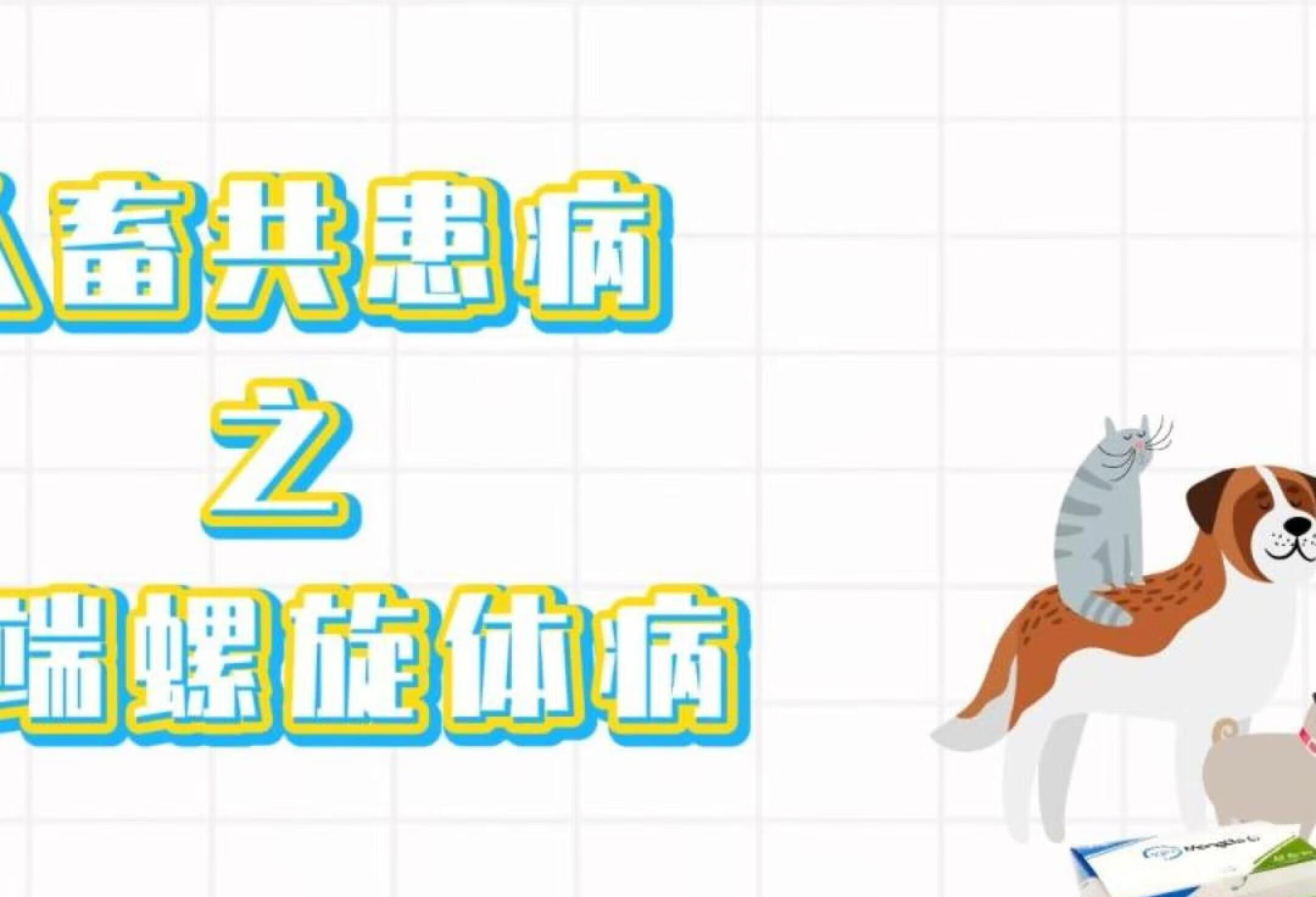 北京腫瘤醫院、代幫掛號，良心辦事實力掛號就醫指南的簡單介紹