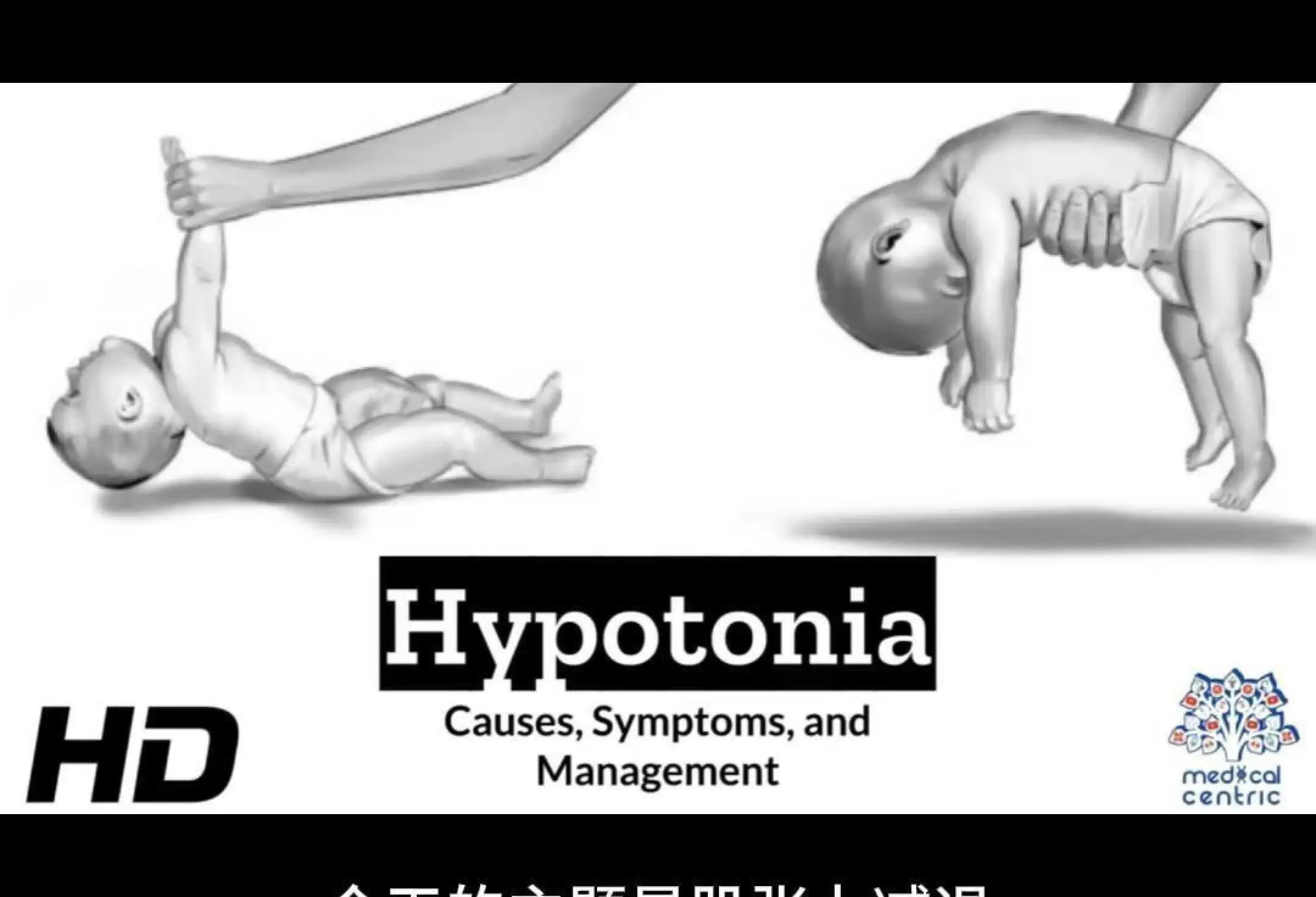 安贞医院检查陪护加挂号专人协助梳理病情，问诊更切中要害的简单介绍