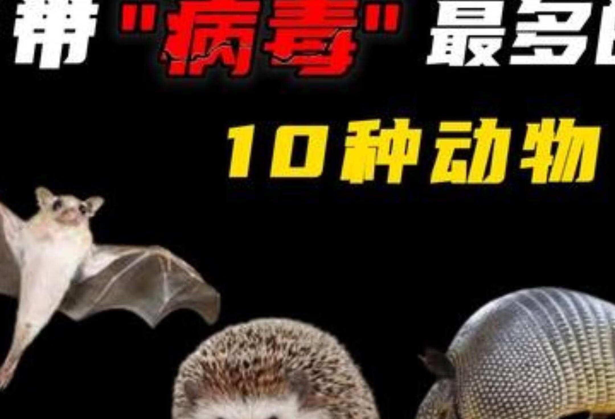 關于河北醫科大學中醫學院附屬醫院（石家莊市中醫院）代排隊掛號，讓每個患者輕松看上病的信息