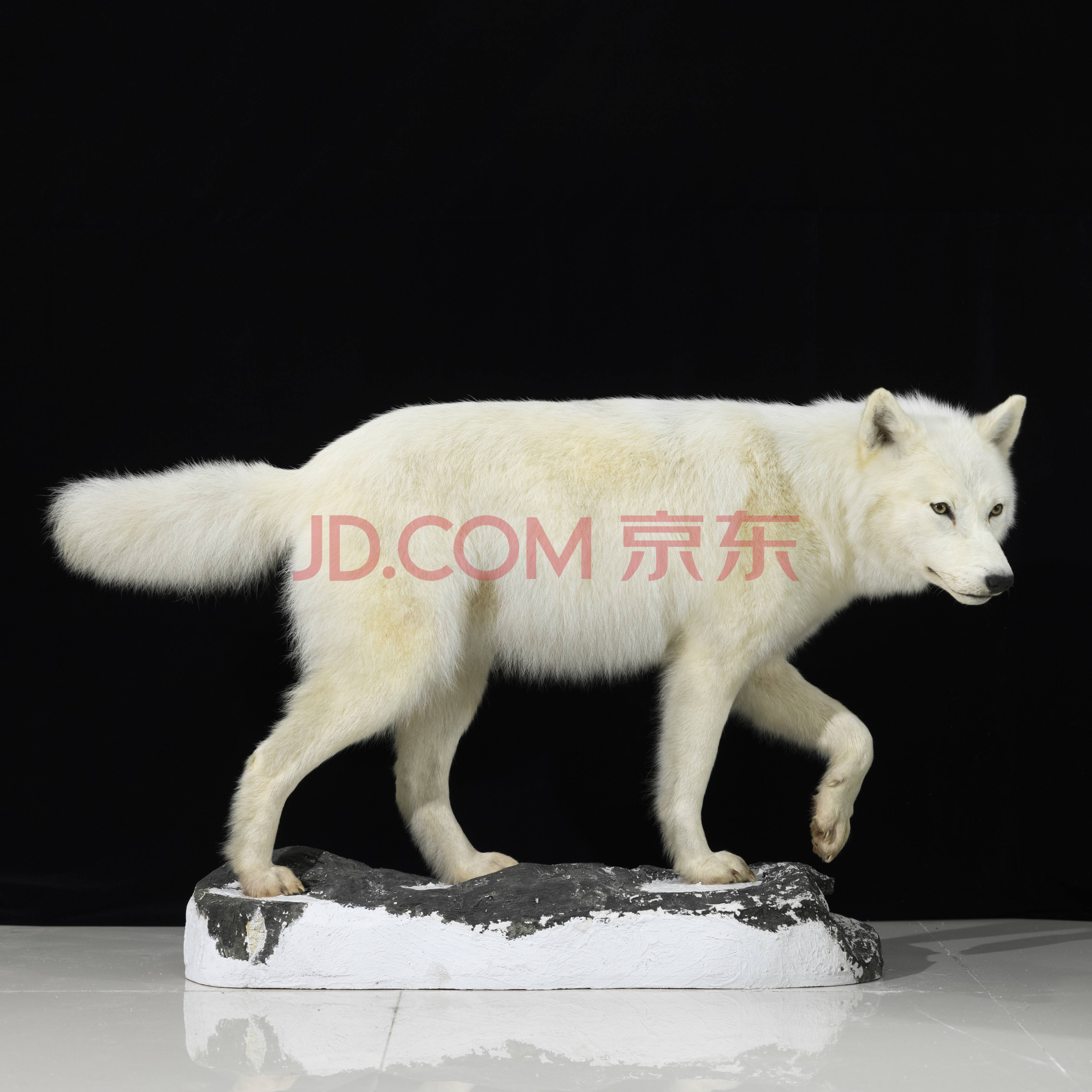 北极熊,北极狼皮毯