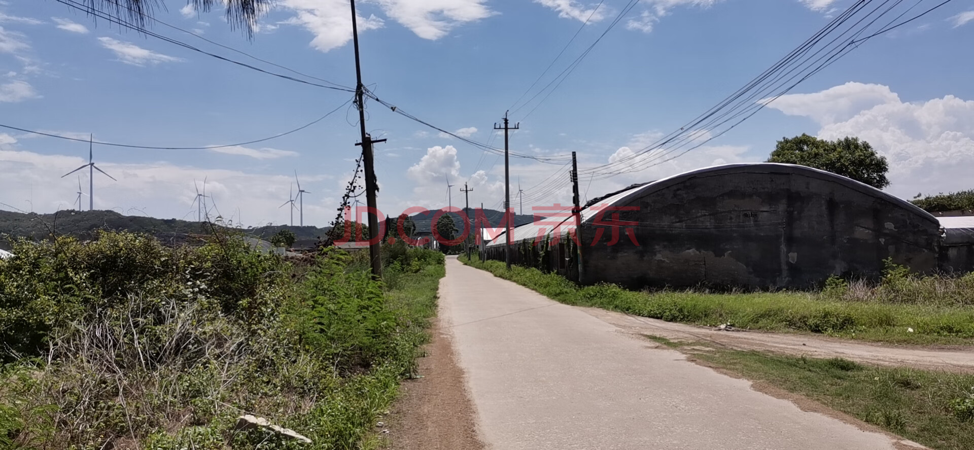 饶平县海山镇东港村图片