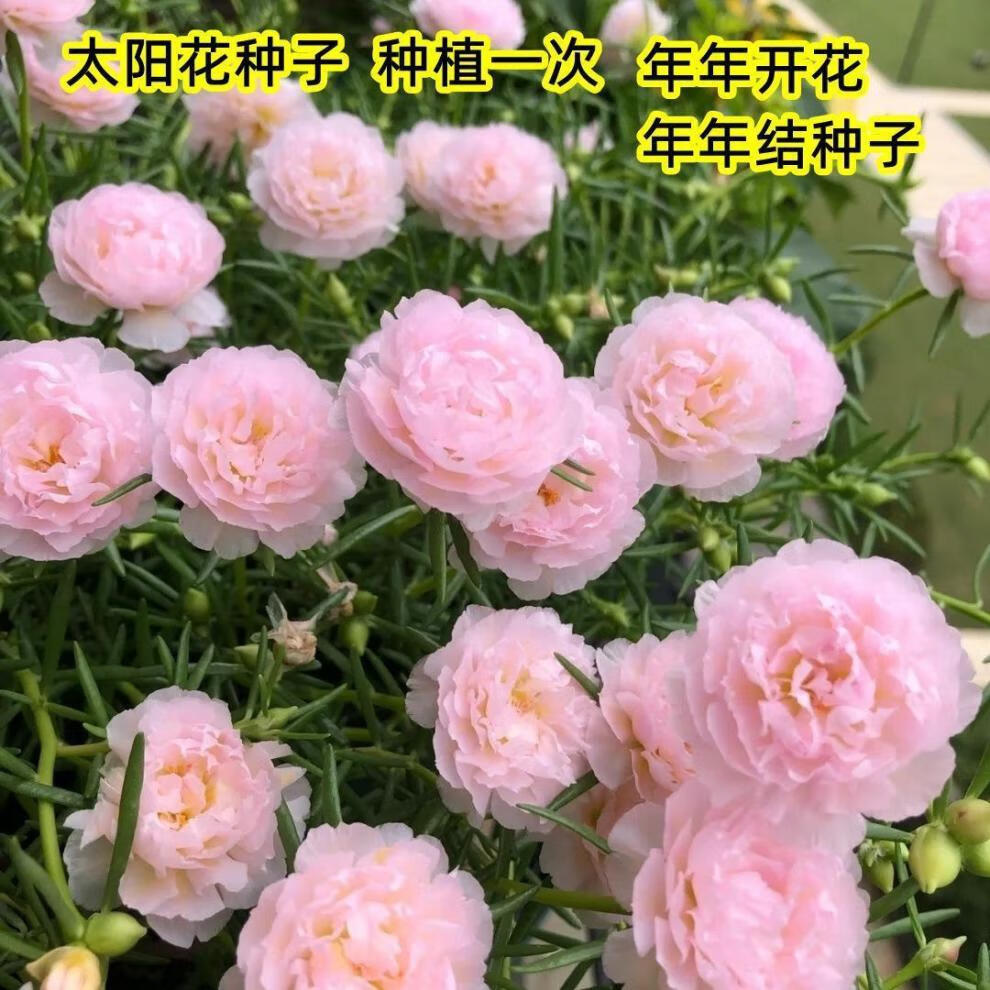 14b0f81c18d77dcc.jpg