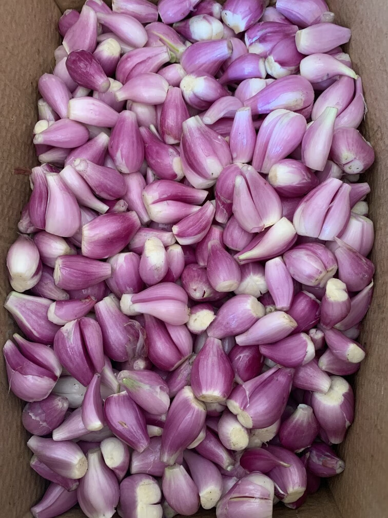 源外 去皮红葱头广东新鲜现剥真空包装红葱头餐饮当天