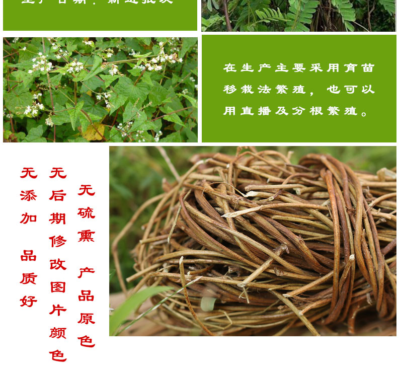 筱木屋鸡骨草全草藤500克鸡骨草段黄头草农家干货非野生中药材煲汤